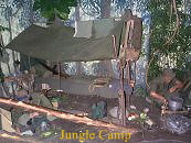 Jungle camp